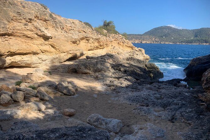 Ibiza "Alien Tour" - Price and value: $751.28 per group up to 3