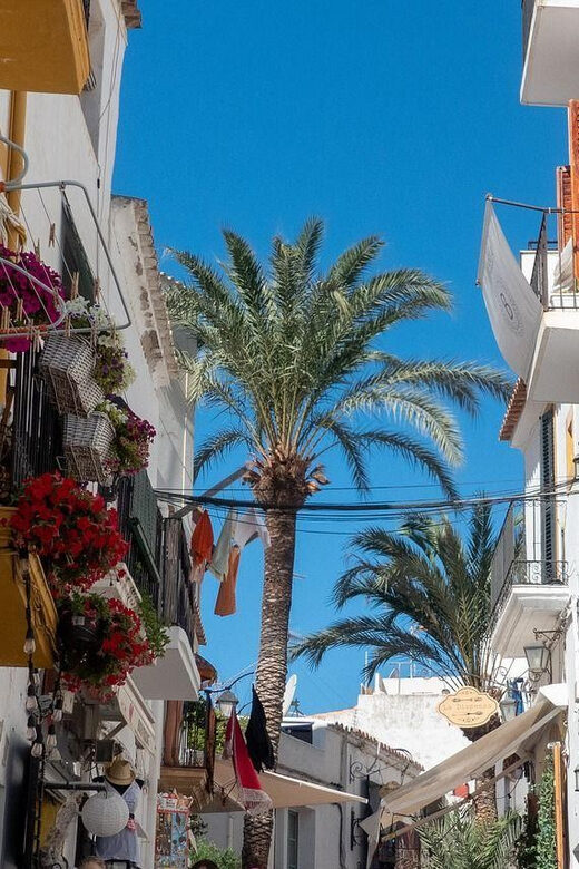 Ibiza old town Private Guided Walking Tour - What the 1.5-hour pacing feels like (especially in heat)